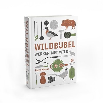 Peter Klosse - Wildbijbel