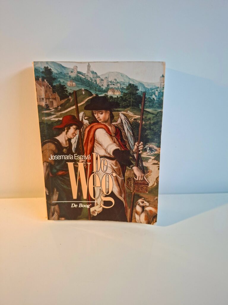 Tweedehands  Boek :  De Weg