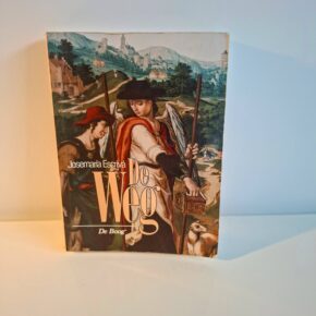 Tweedehands  Boek :  De Weg